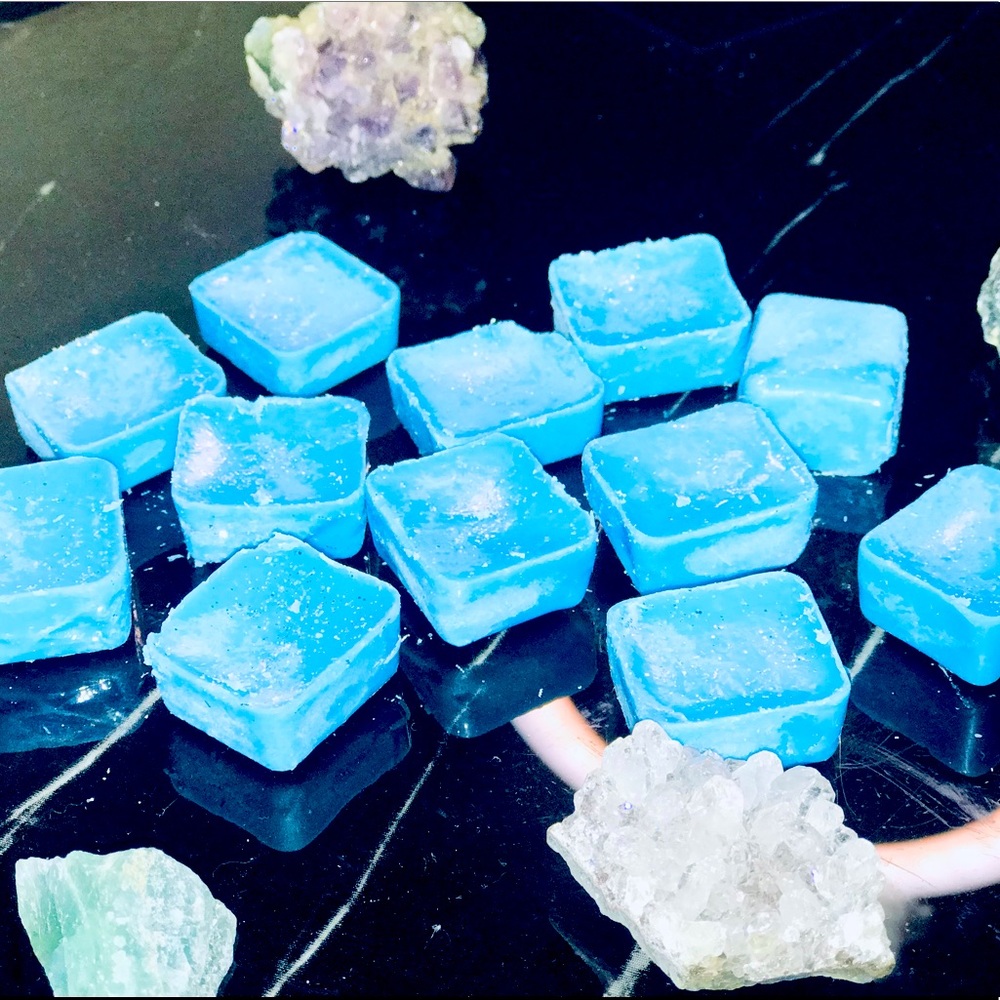 Blueberry 🫐 bushes wax melts